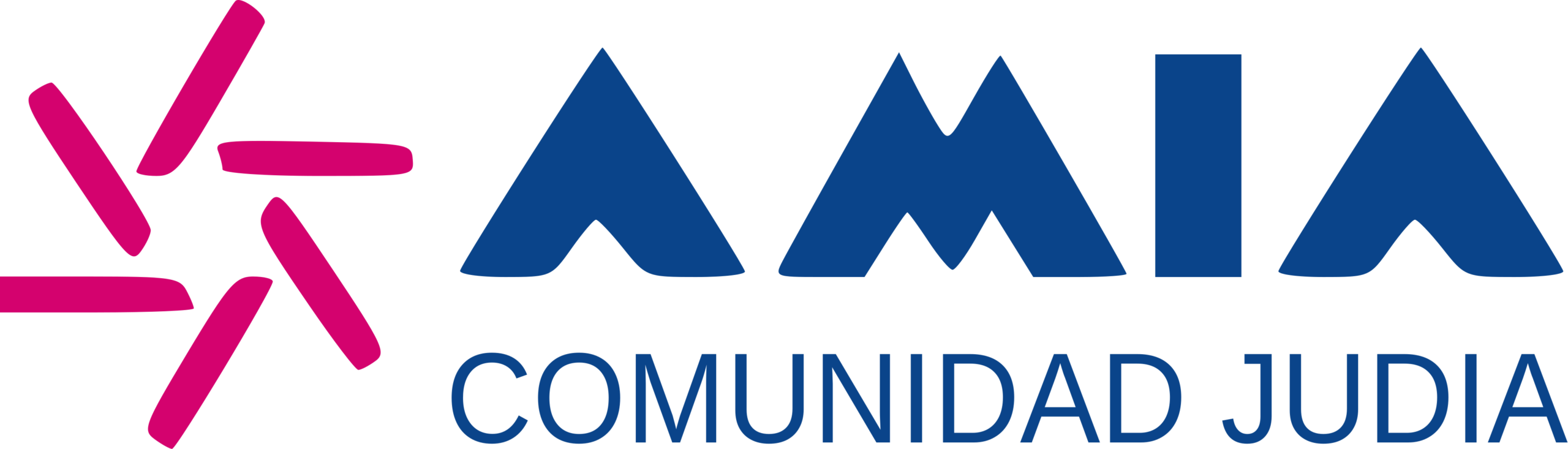 AMIA Comunidad Judía