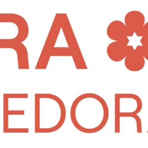 Primera Feria de Emprendedoras Judías de LATAM